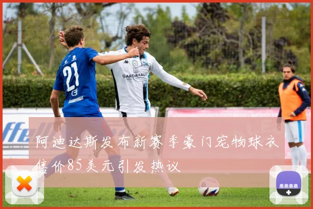 阿迪达斯发布新赛季豪门宠物球衣售价85美元引发热议
