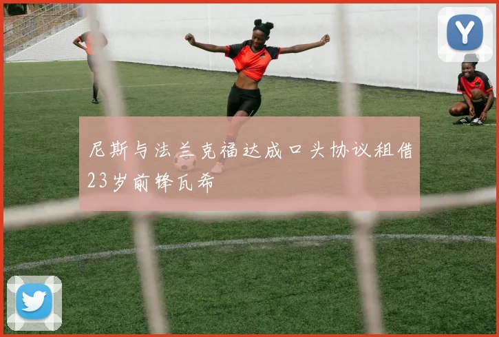 尼斯与法兰克福达成口头协议租借23岁前锋瓦希